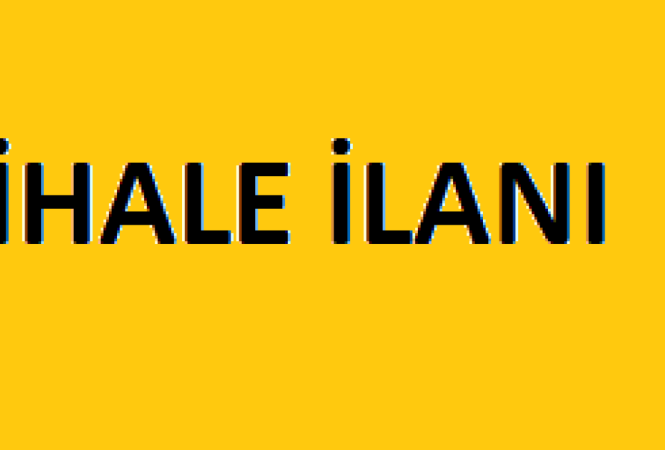 Araç Satış İhalesi