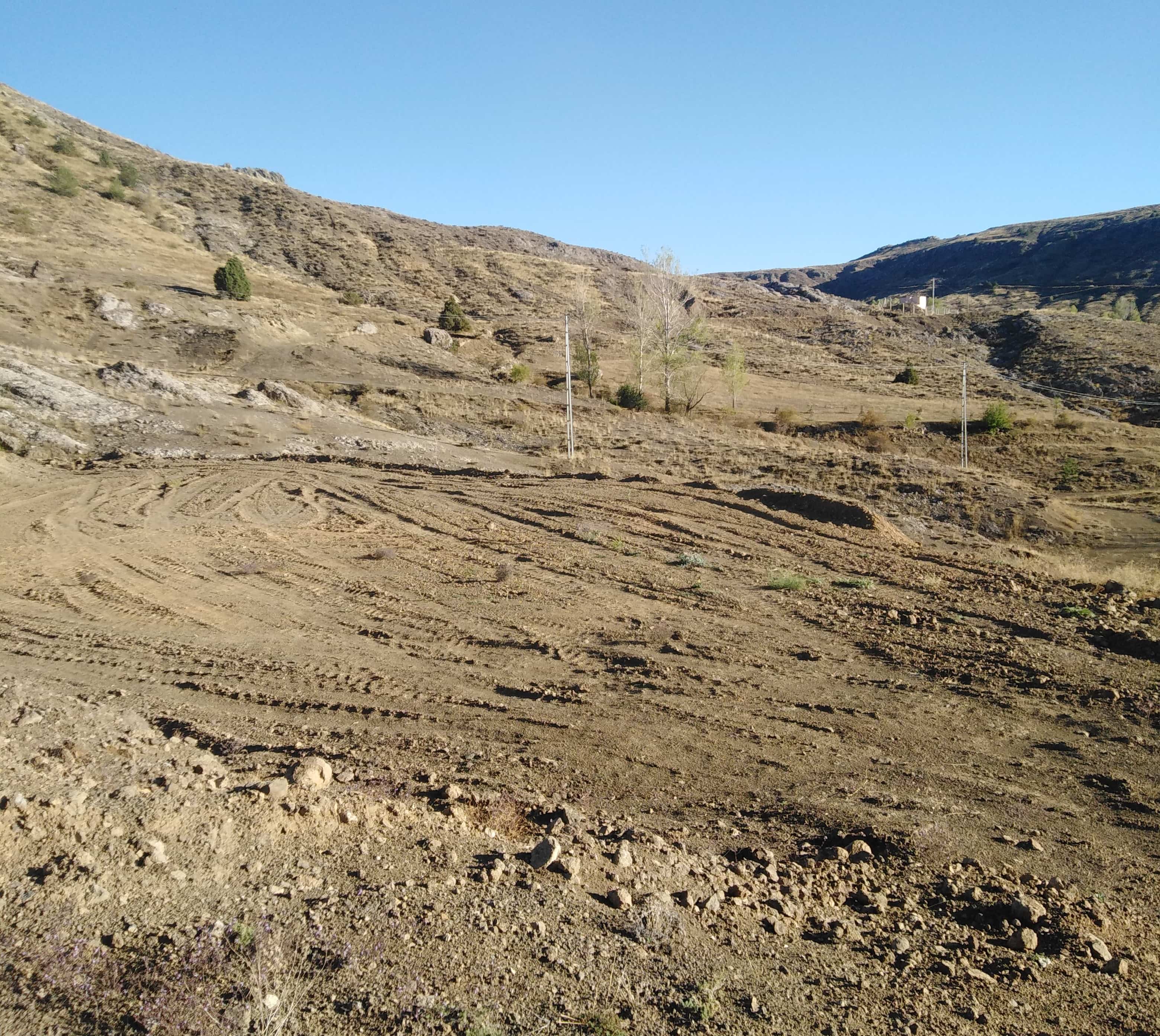 HAYVAN OTELİ PROJESİ